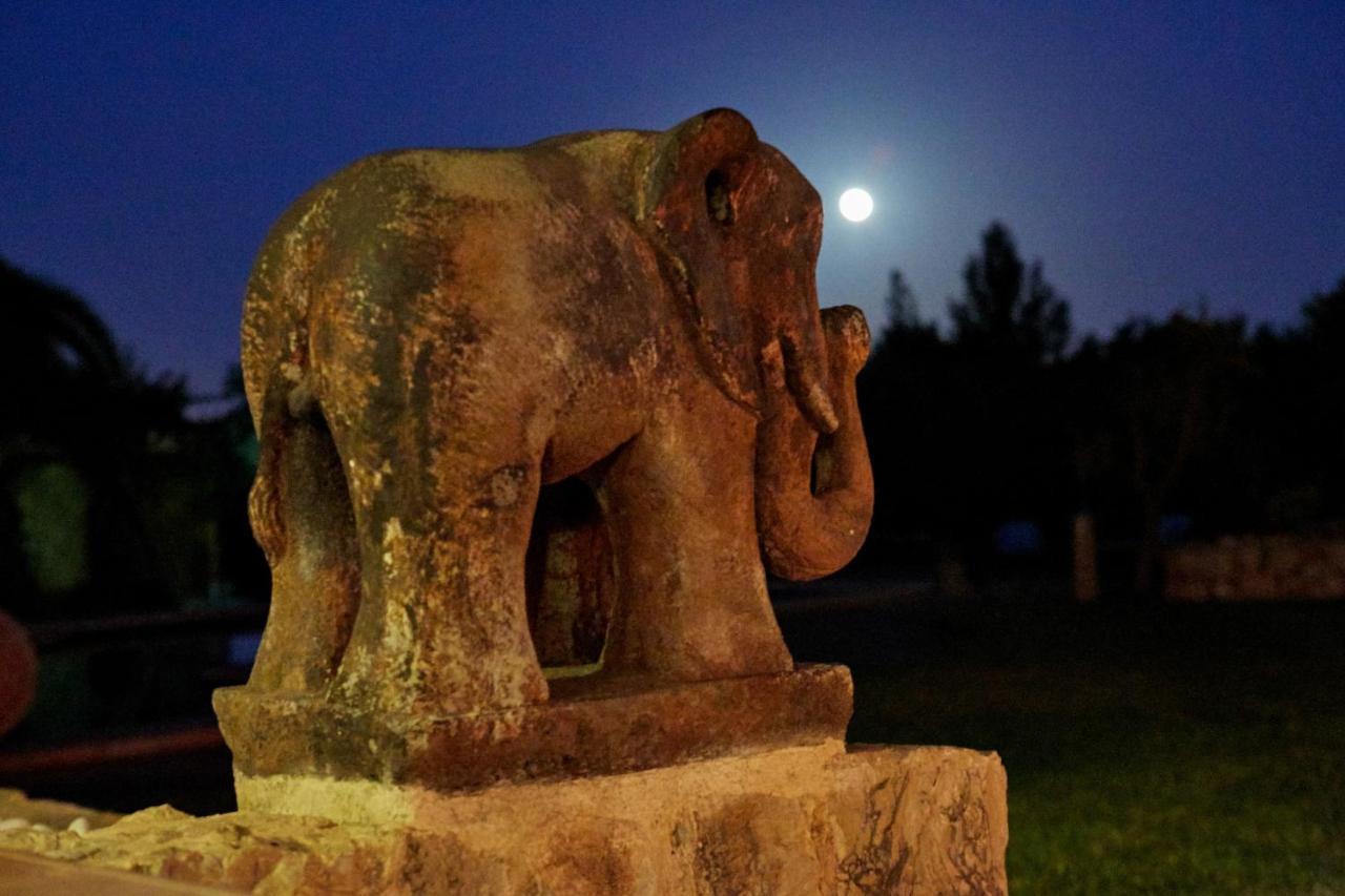 Finca La Salve Pollensa Zewnętrze zdjęcie